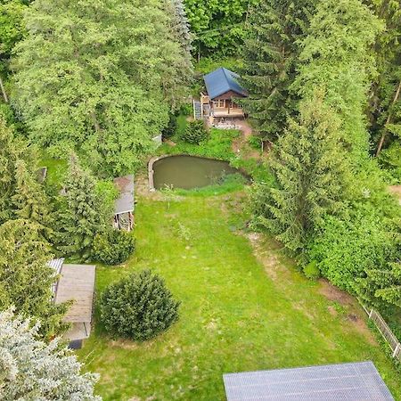 Tiny House Am Teich Lägenhet Garnsdorf Exteriör bild