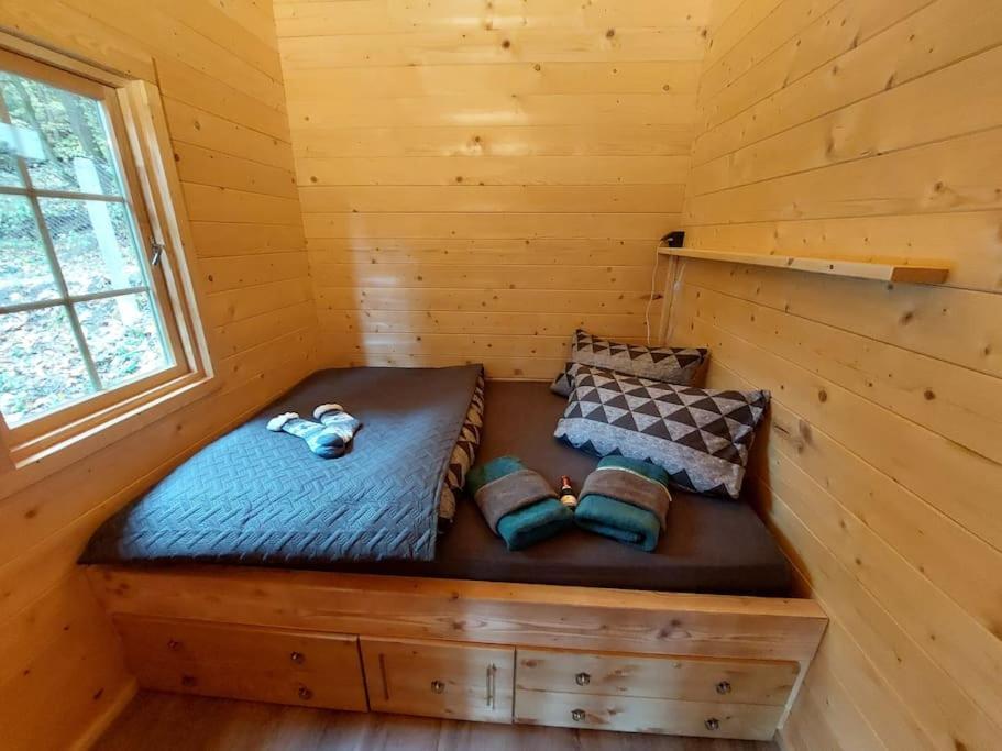 Tiny House Am Teich Lägenhet Garnsdorf Exteriör bild